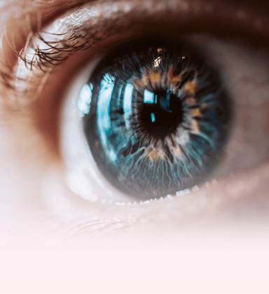 Gesunde Sehkraft und ein starkes Immunsystem