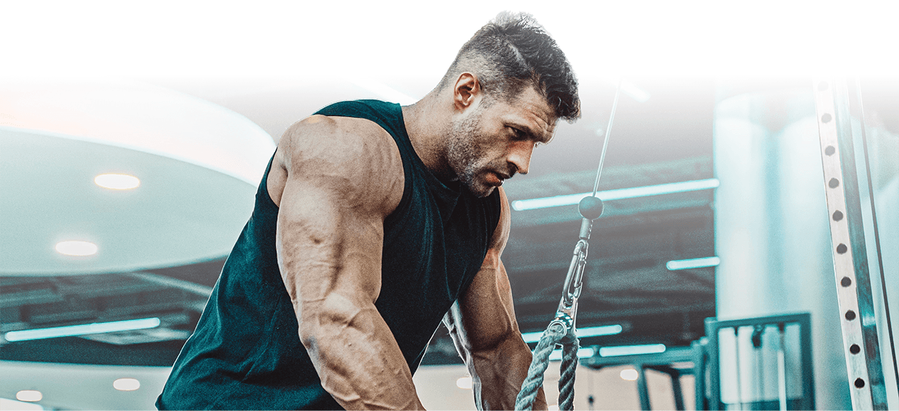 Gold Whey protein powder with blueberries and chocolate